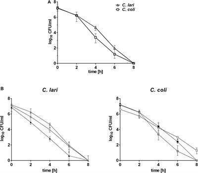 Differences in the Transcriptomic Response of Campylobacter coli and Campylobacter lari to Heat Stress